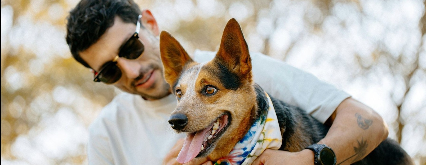 a person holding a dog